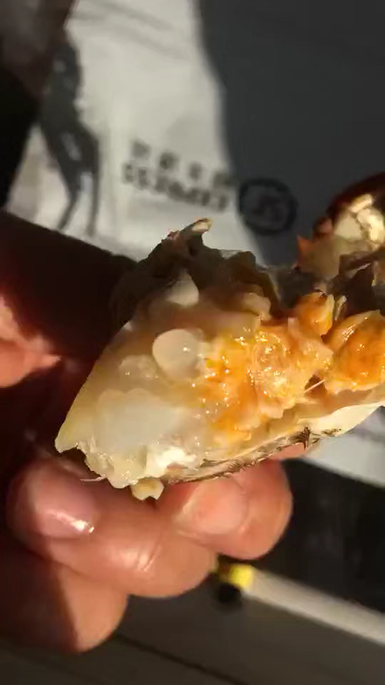 公蟹蟹膏粘牙啦