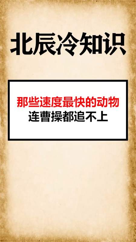 我要上热门#那些速度最快的动物连曹操都追不上