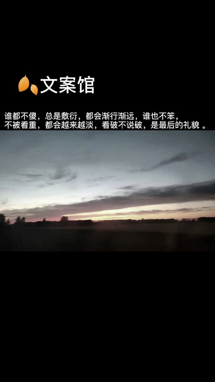 谁都不傻,总是敷衍,都会渐行渐远,谁也不笨,不被看重,都会越来越淡