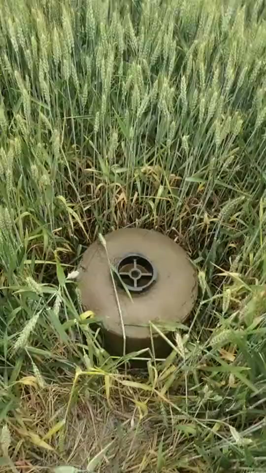 搞笑段子#第一眼还以为是踩到地雷了,看到最后我懵了,真的吓了我姨