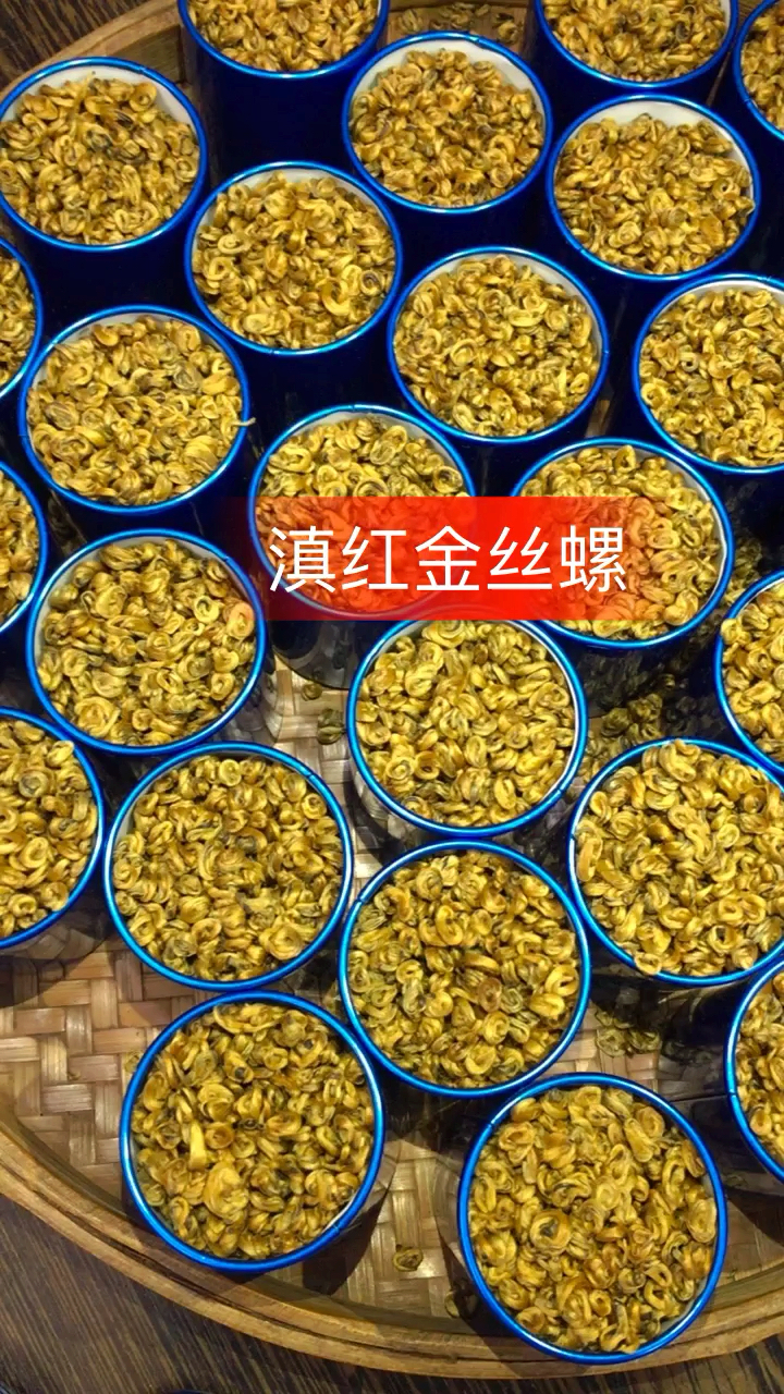 滇红金丝螺一斤一盒三十罐