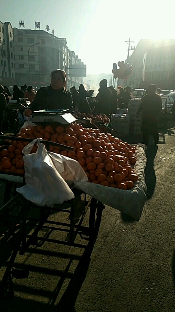 2019年1月8日腊月初3,集安市清河镇赶大集