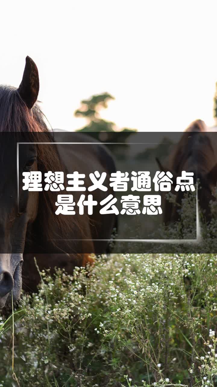 理想主义者通俗点是什么意思