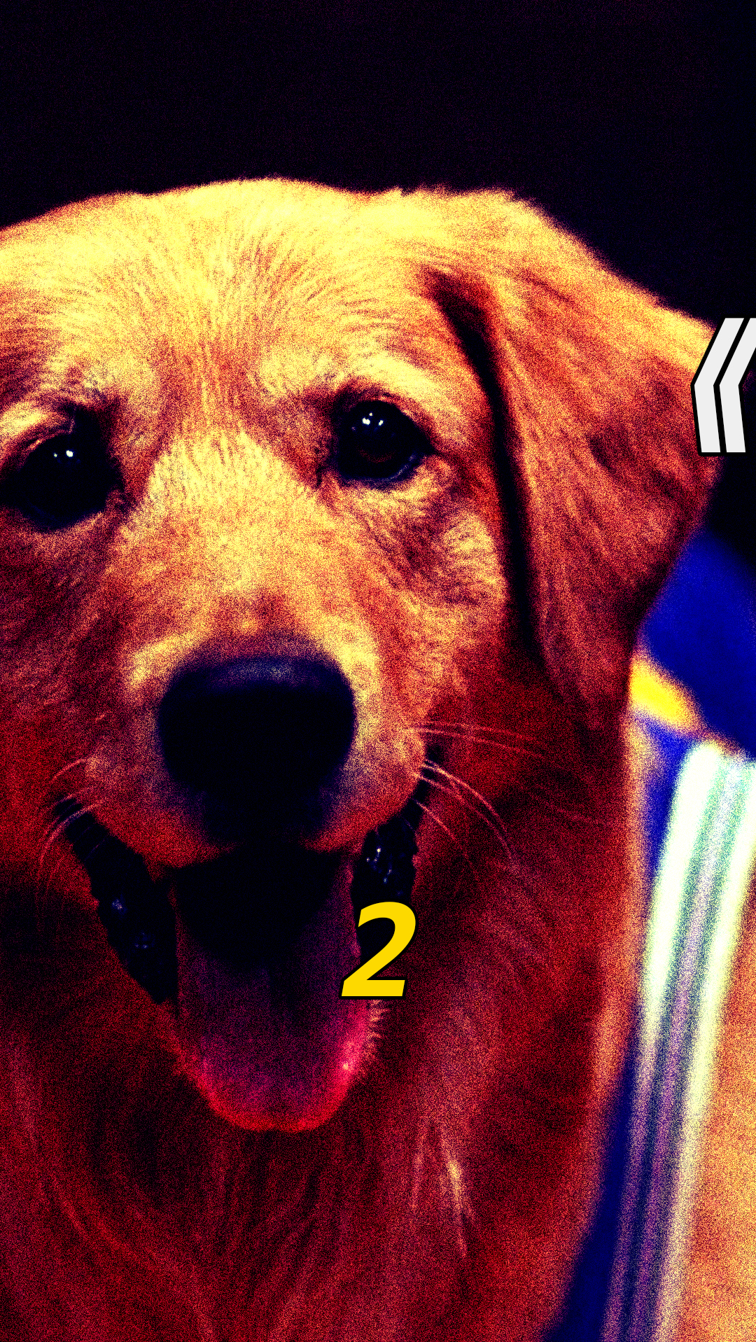 《飞狗巴迪》第2集.