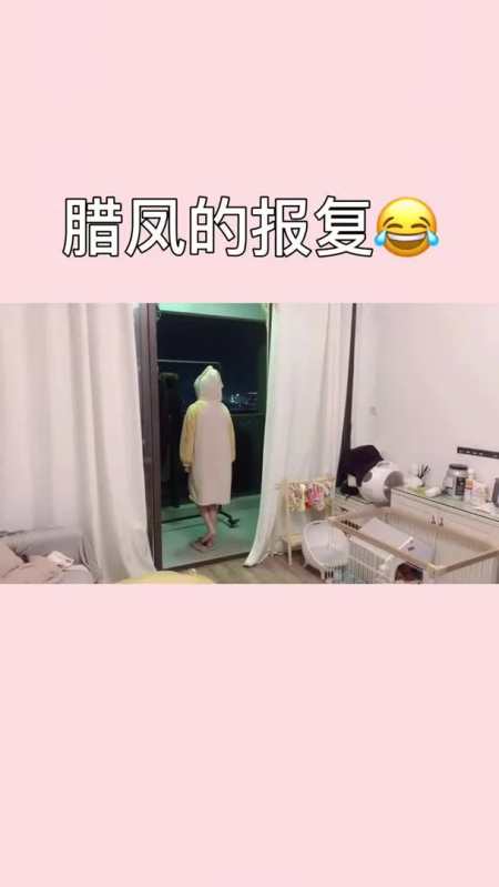 114次播放.2021-08-13 金财和腊凤的小生活 相关推荐自动播放