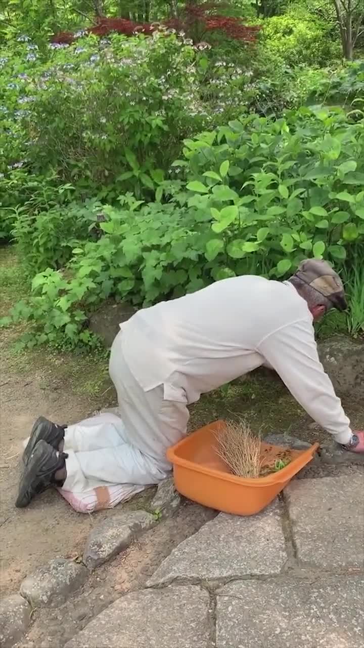 日本环卫工人跪地拔草,工作态度十分认真,真是细节决定一切!