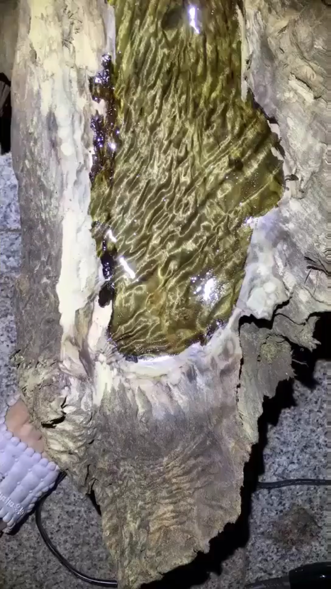 给大家介绍一下金丝楠木凤尾纹.特别珍贵的纹理.