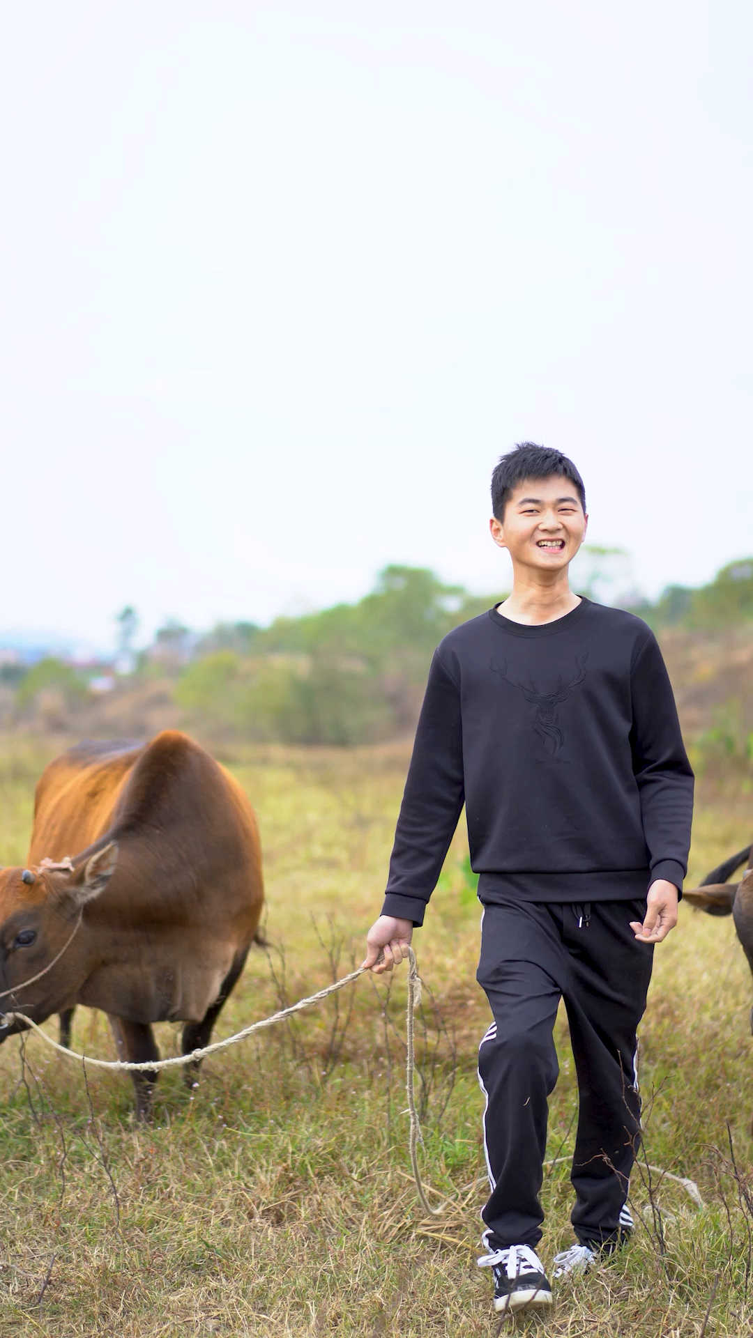 乡村生活#没事放牛去,有一起的吗?