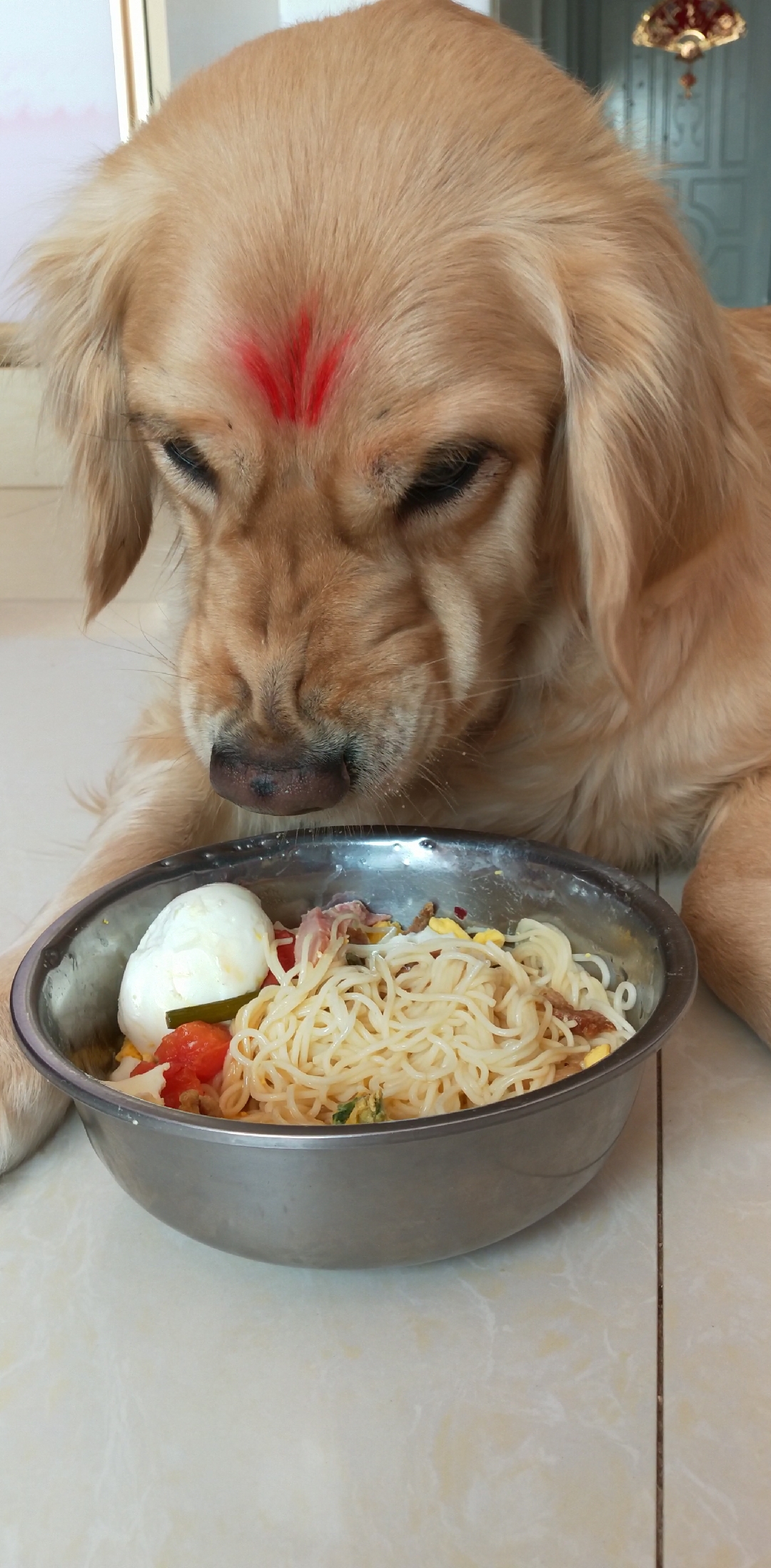 天天吃面条一脸嫌弃啊,有的吃就不错了