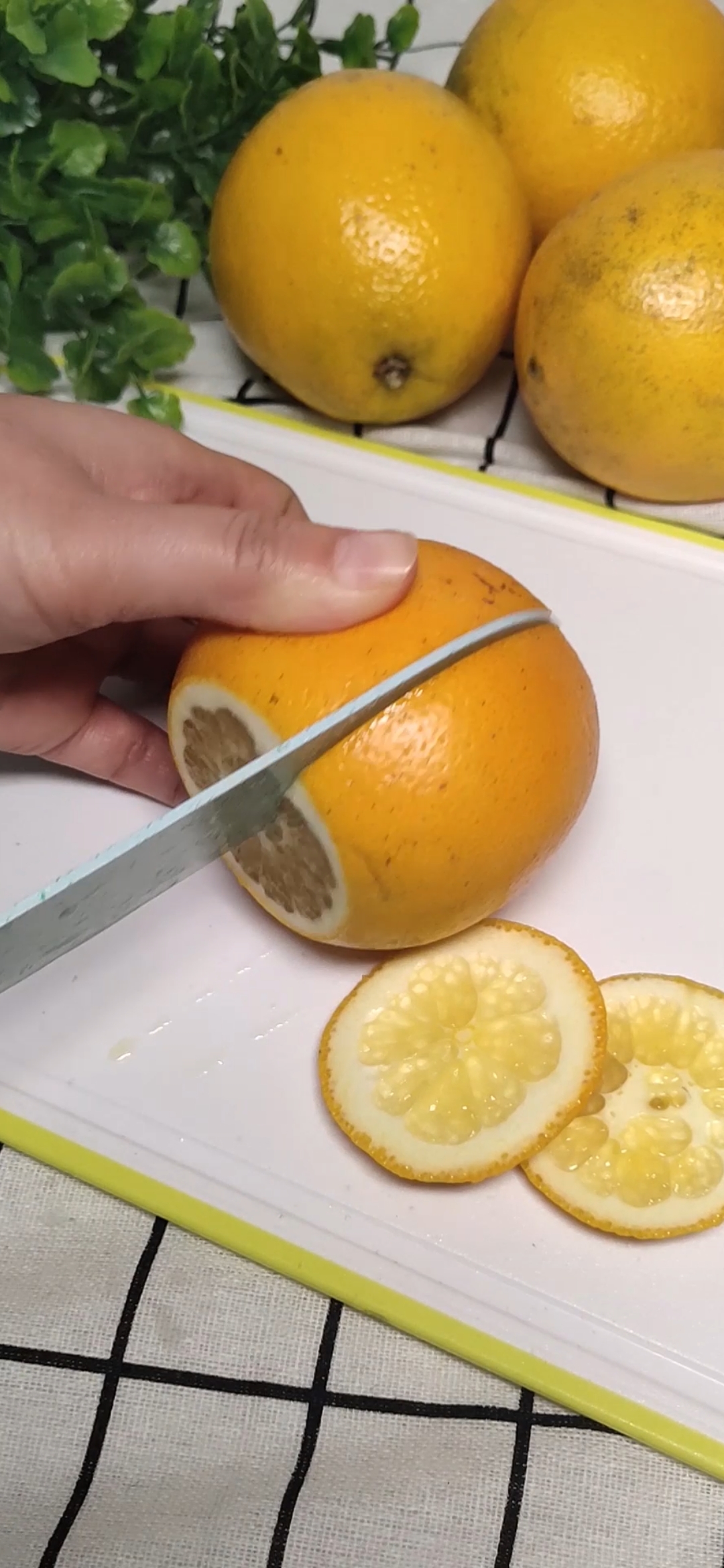 自从学会这样切橙子,吃起来既方便又好看,而且不塞牙,你学会了吗?