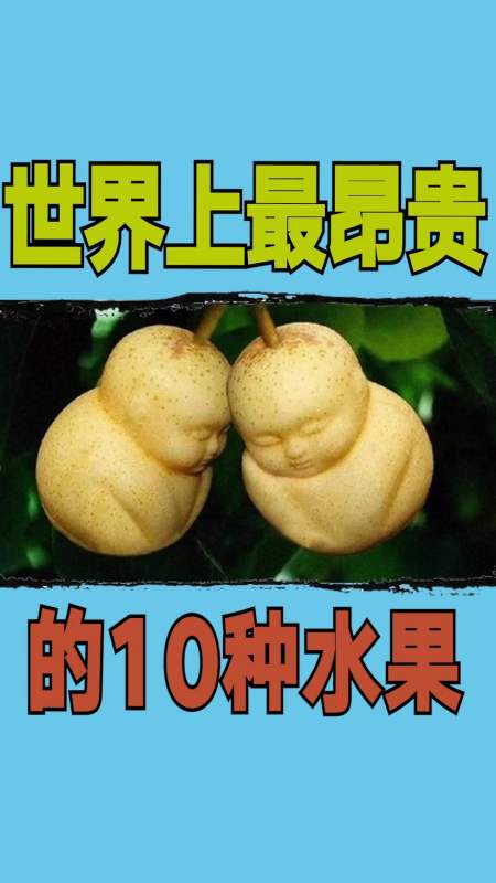 水果#世界上最昂贵的10种水果