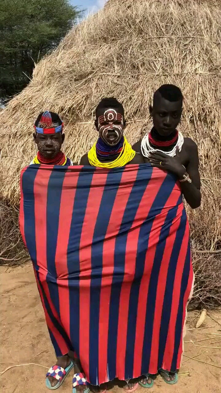 斑马族的三姐妹