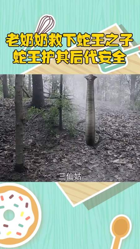 老奶奶救下蛇王之子,蛇王护其后代安全