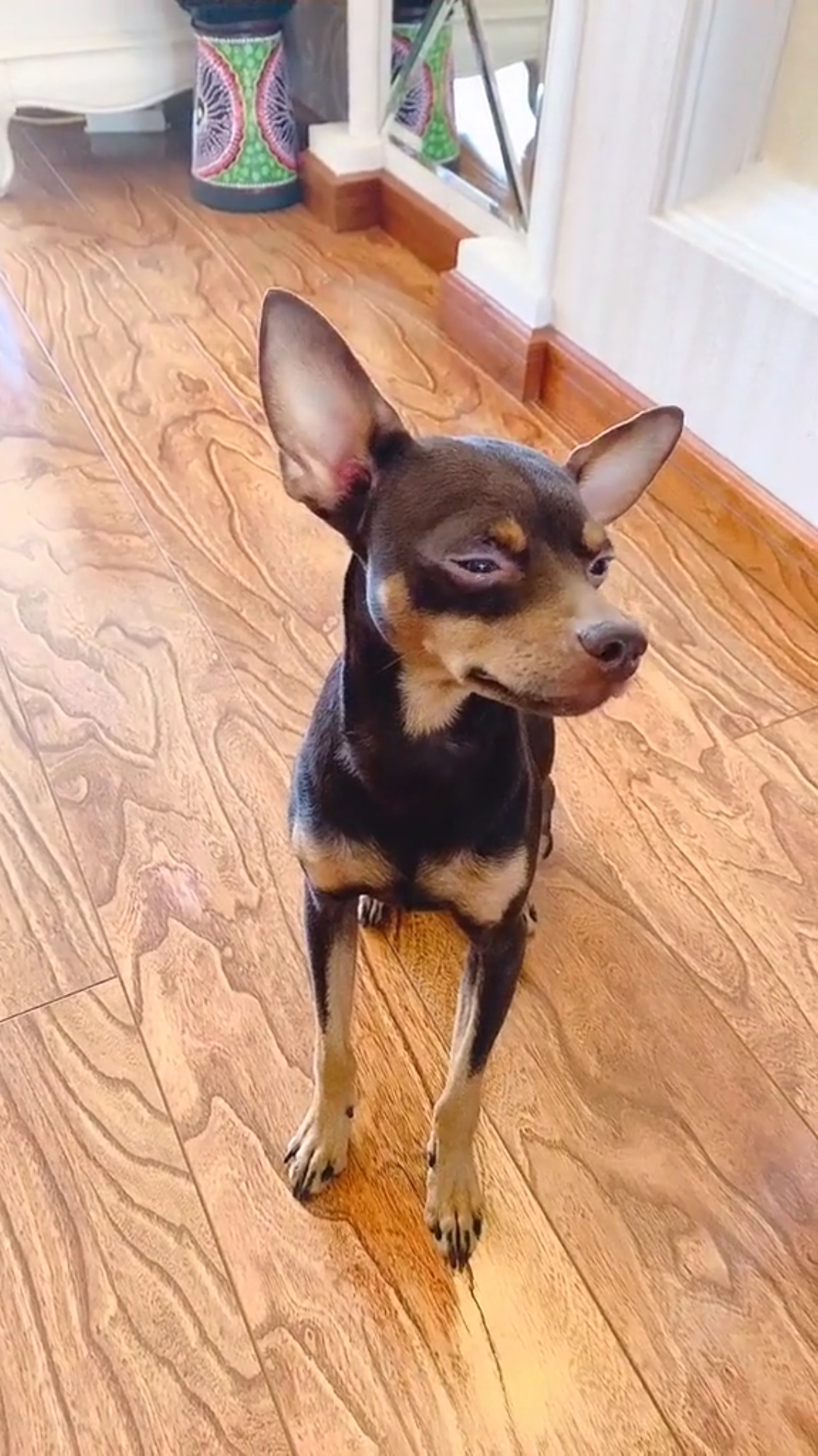 就是要考验一下啵啵乐的记忆力,半道非要点奖励,太难了