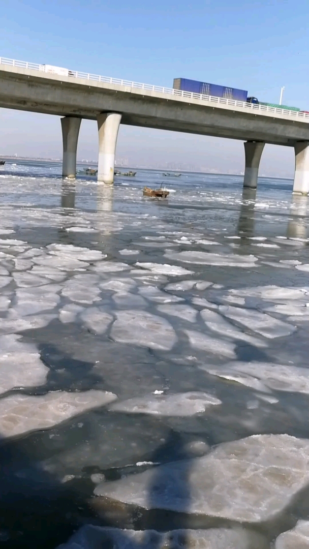 胶州湾海水冻成冰.