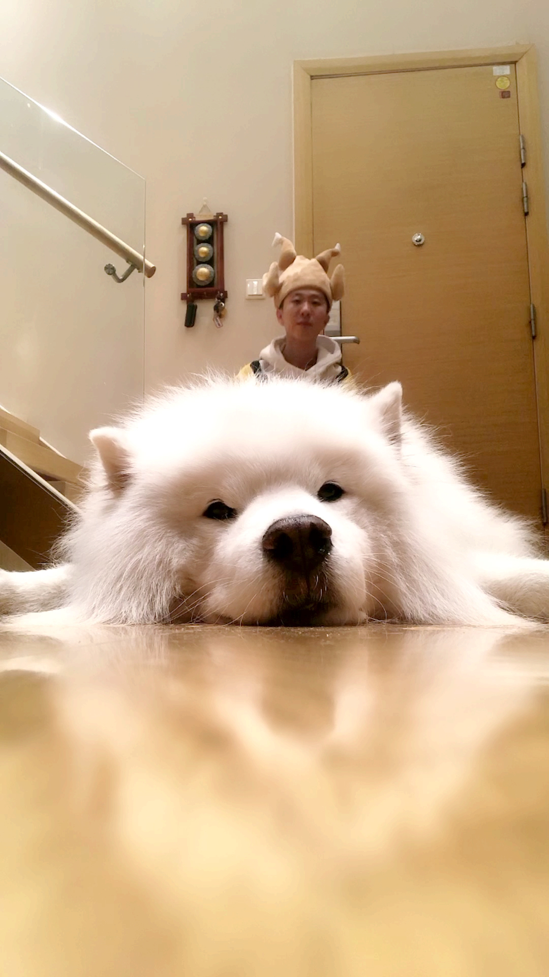 萨摩耶#今日份的父子沙雕游戏