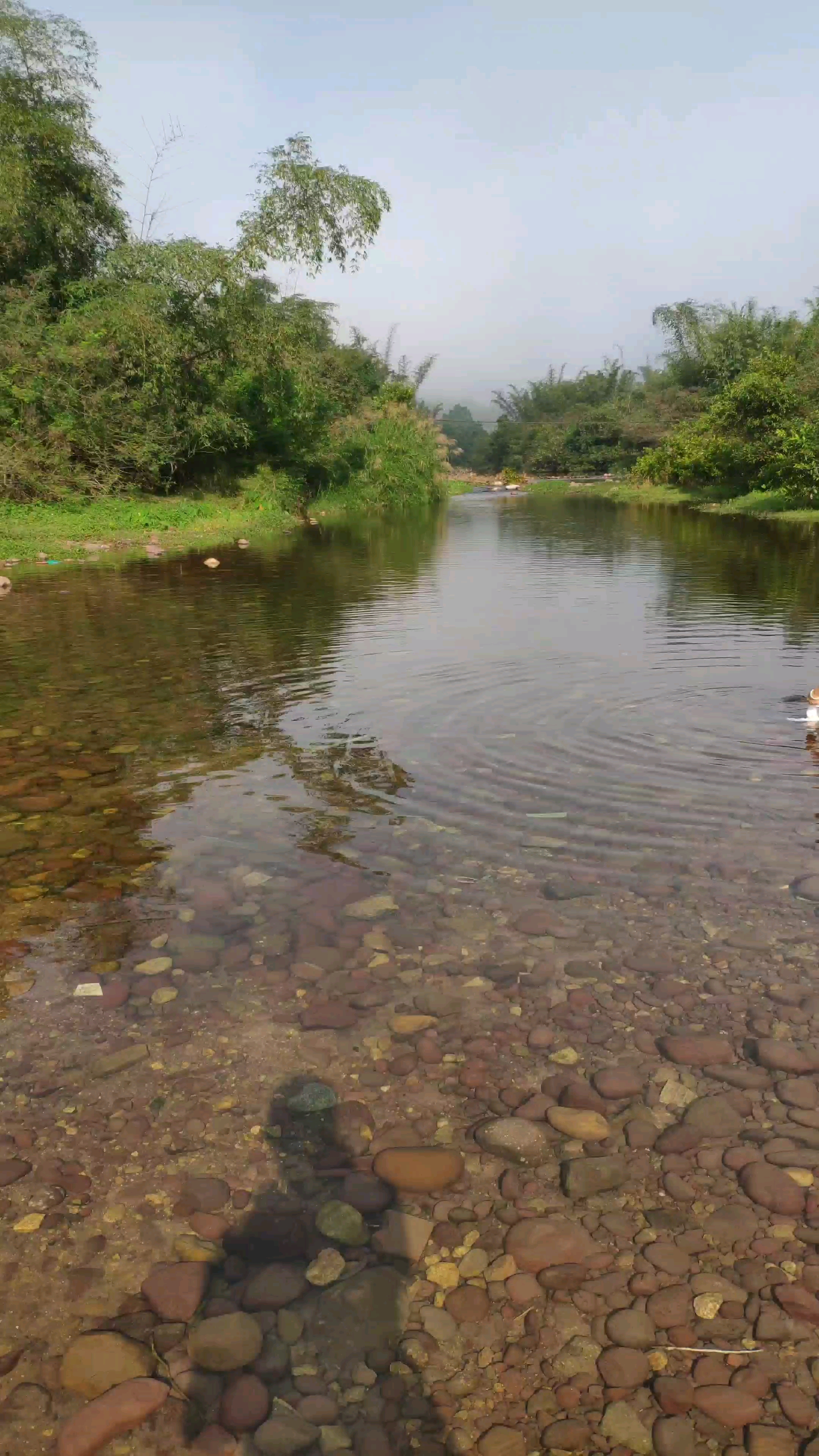 河边水干净给车洗澡.