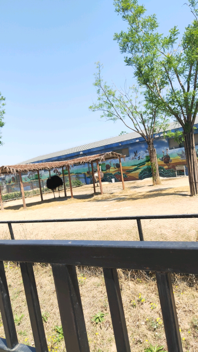 唐山動物園