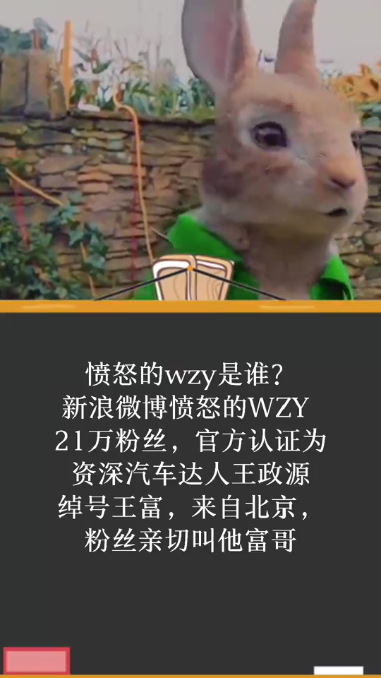 王政源wzy是什么人物