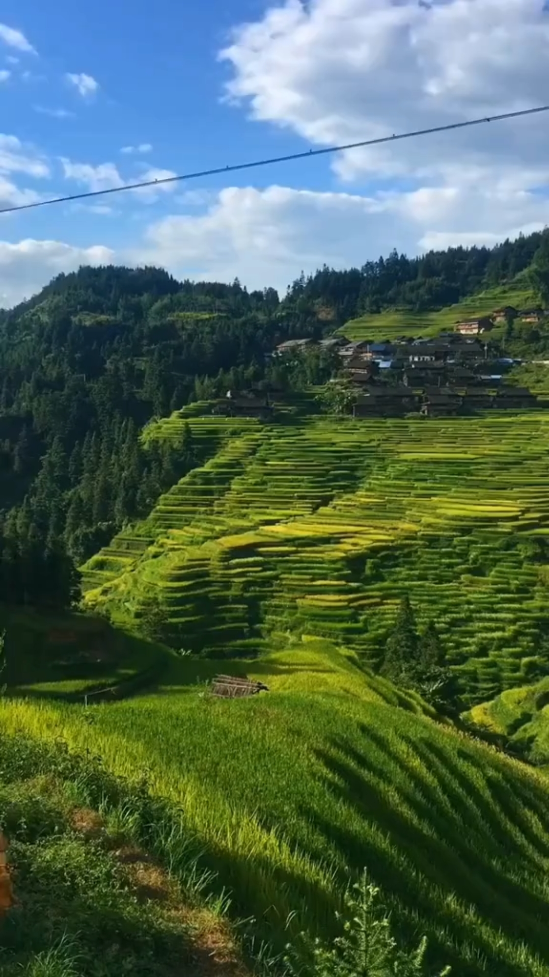 郊游踏青#张家界梯田