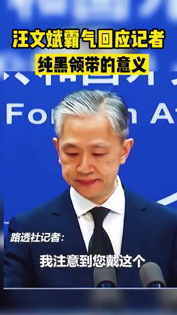 汪文斌黑领带图片图片