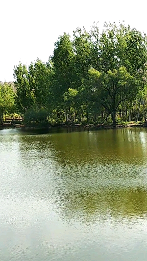 平顶山印象#平顶山观上东小水库