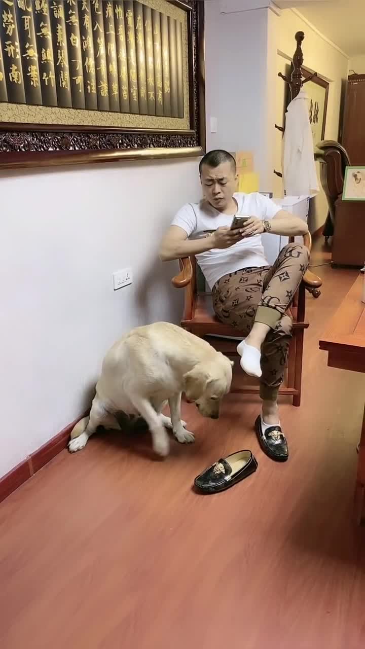 臭老头,还不把你臭脚丫拿走