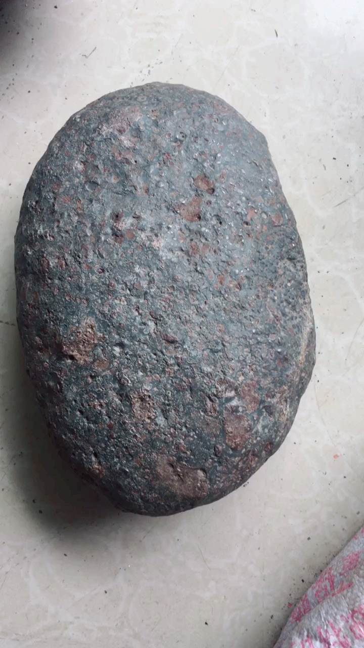 这颗球粒陨石重20.1斤,含铁量百分之二十左右弱磁性!