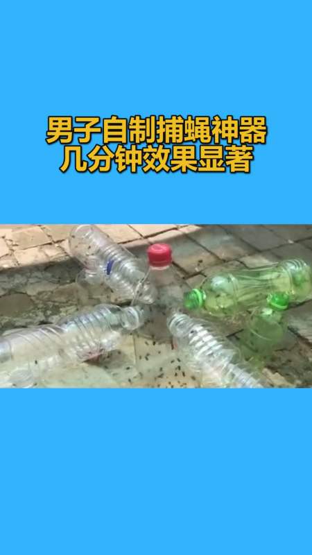 我要上热门#男子自制捕蝇神器,几分钟效果显著