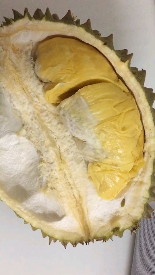 我有一个逗比朋友#臭榴莲