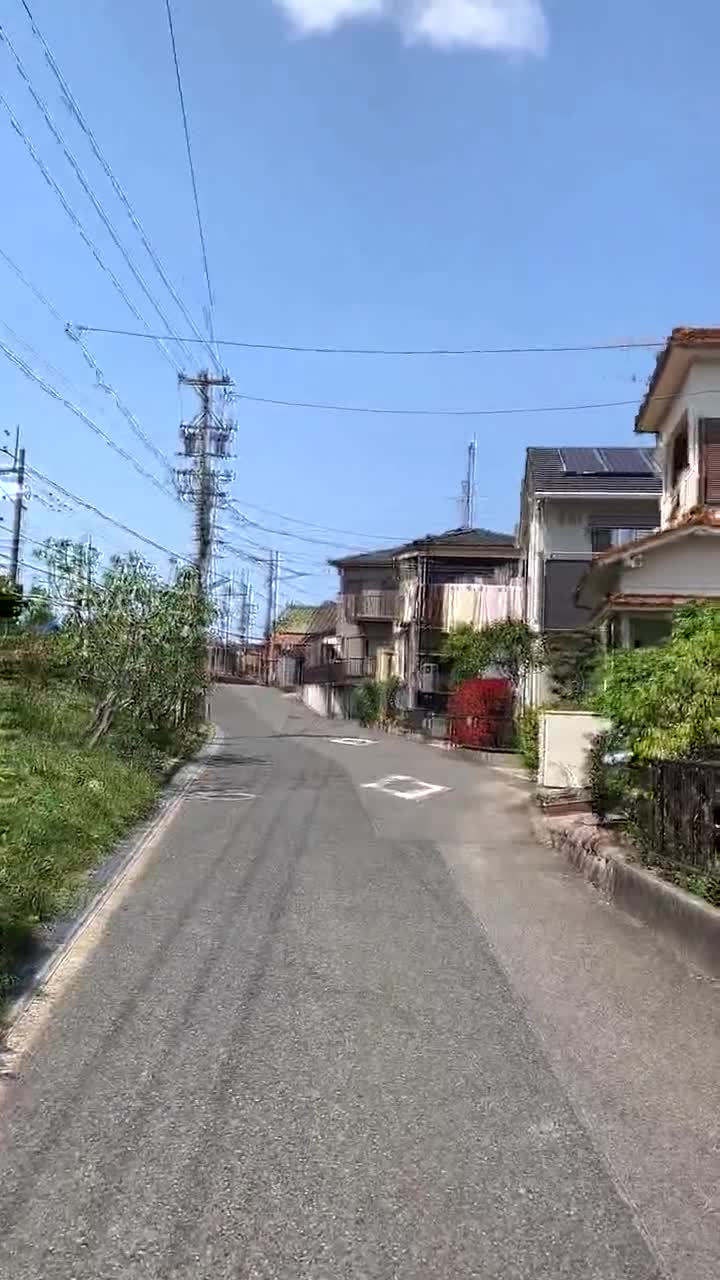 现实中的日本农村,看这个环境,真的不适合国人!