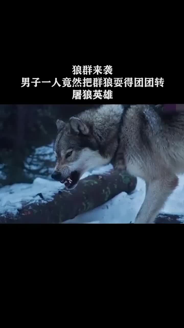 狼群来袭,男子一人竟然把群狼耍得团团转,屠狼英雄-度小视