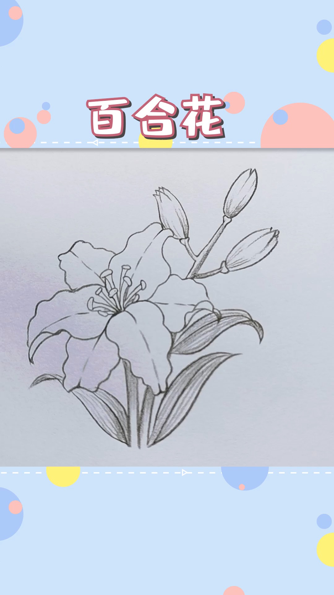 绘画#每日一画,今日份百年好合百合花