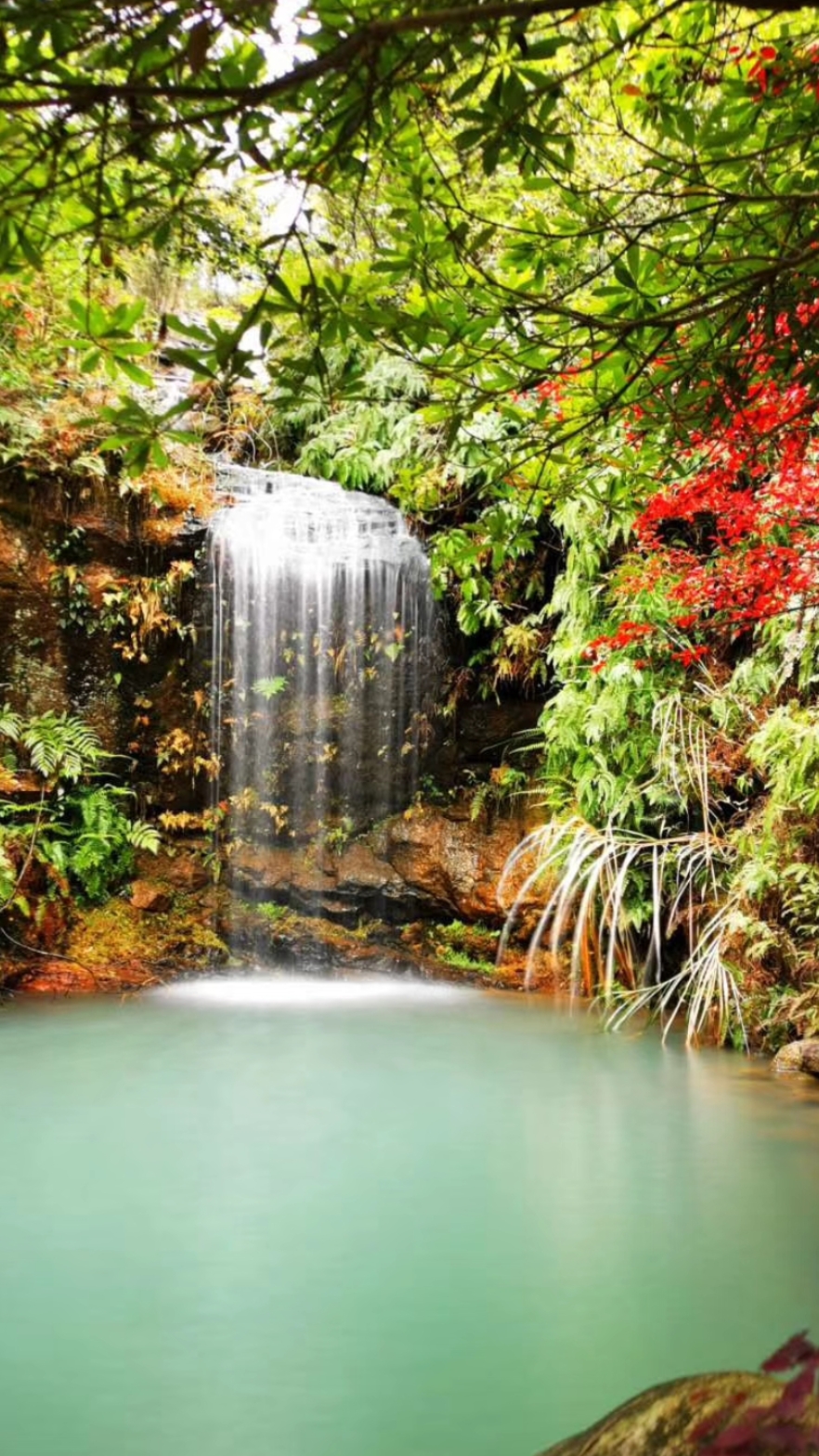 #在家云旅游#大自然最美