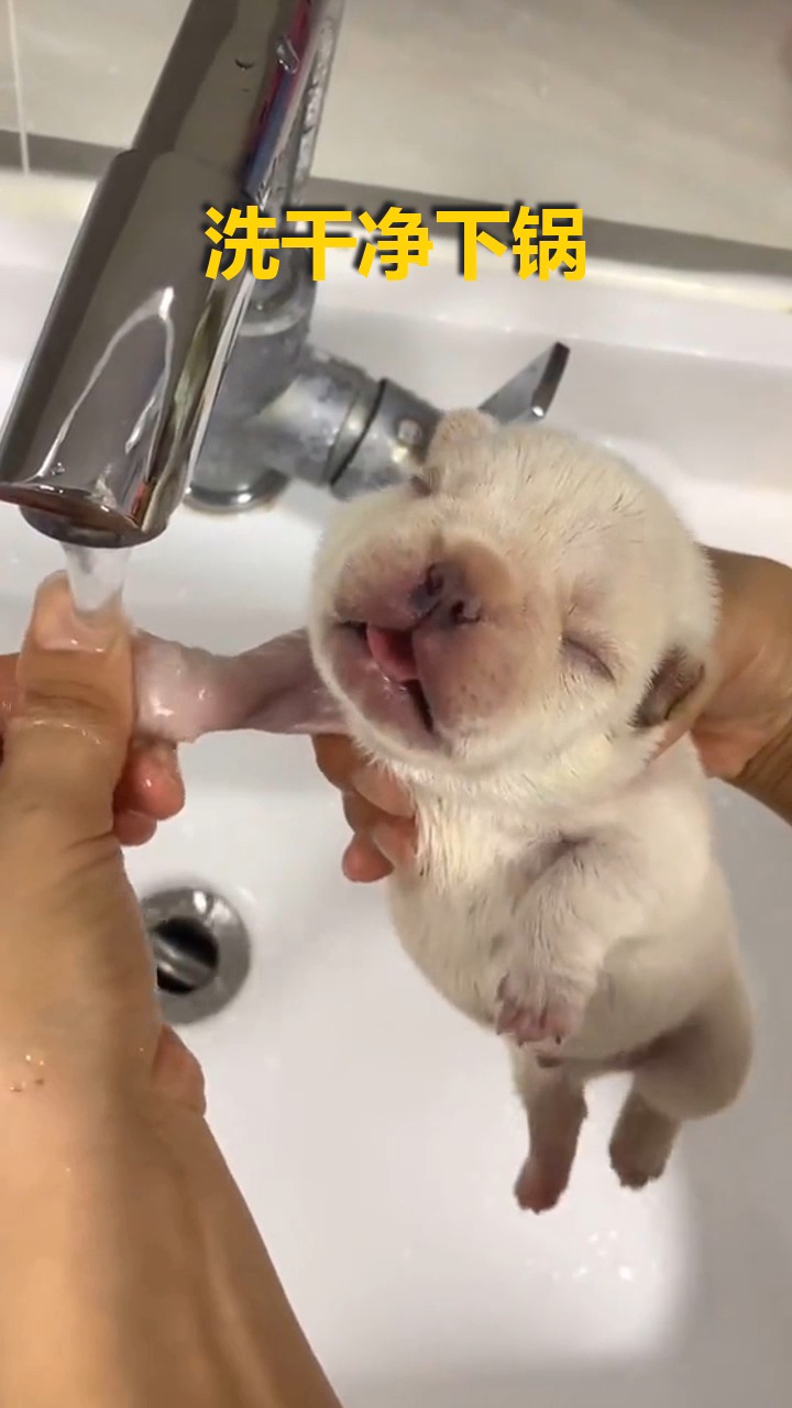 搞笑视频#埋汰孩子,踩粑粑了