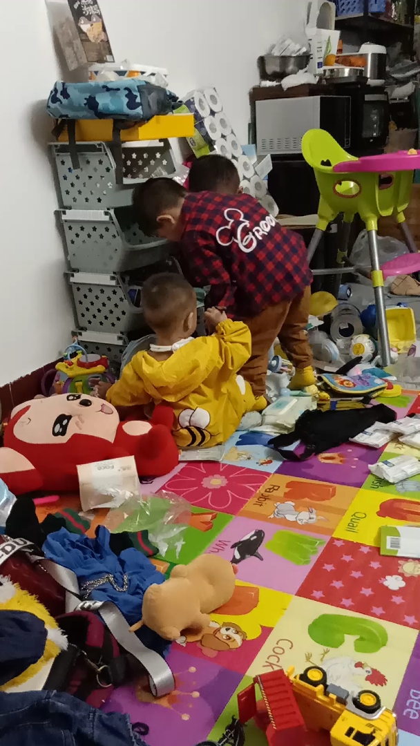 三个拆家小能手