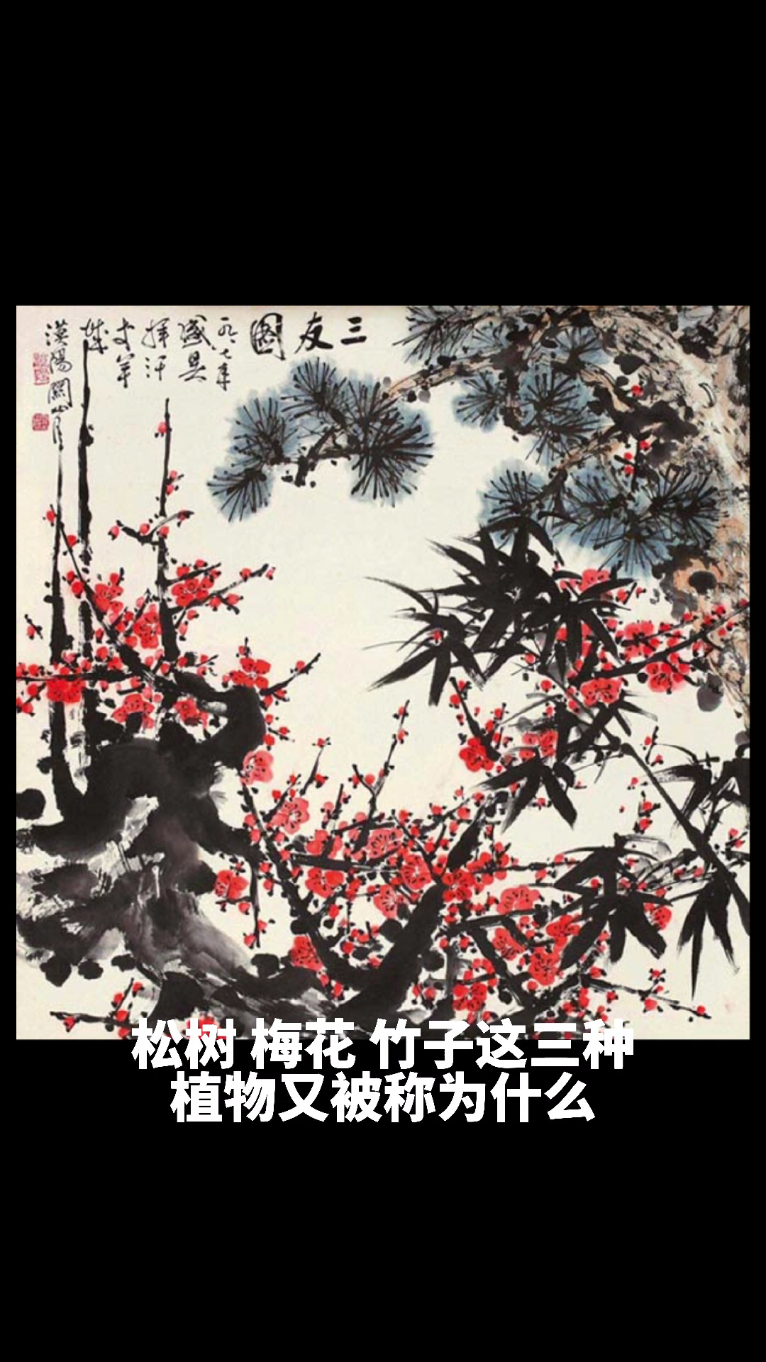 松树,梅花,竹子这三种植物又被称为什么