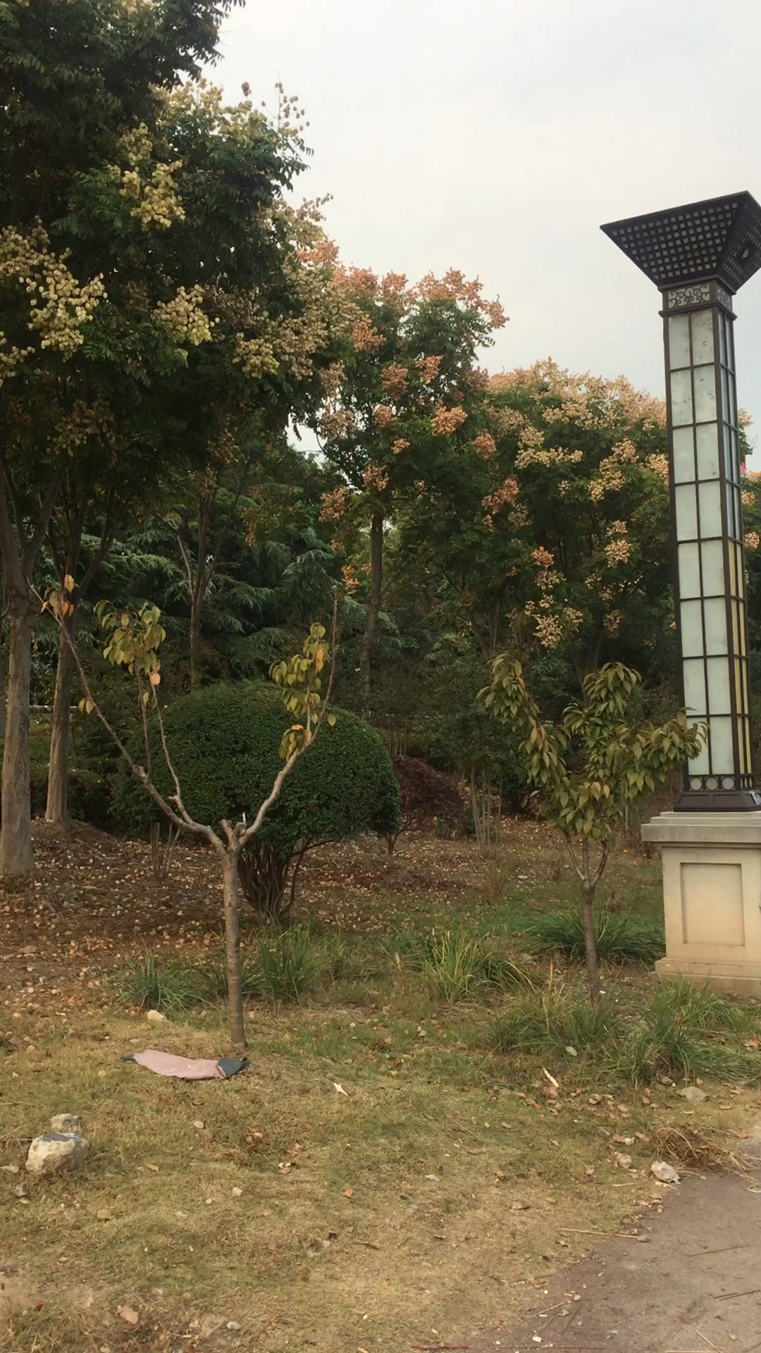 南京北桥头堡公园,好漂亮啊