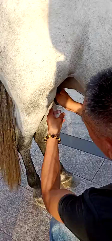 家有萌娃#哇,挤马奶,你看过吗