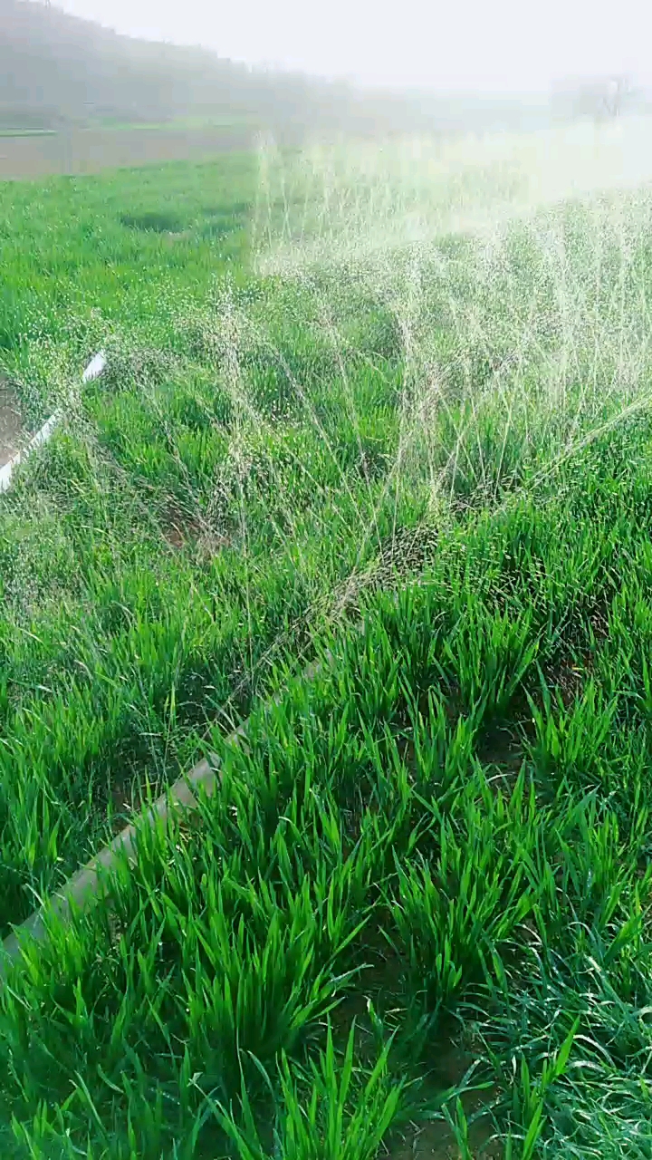 和平精英#人造雨来了