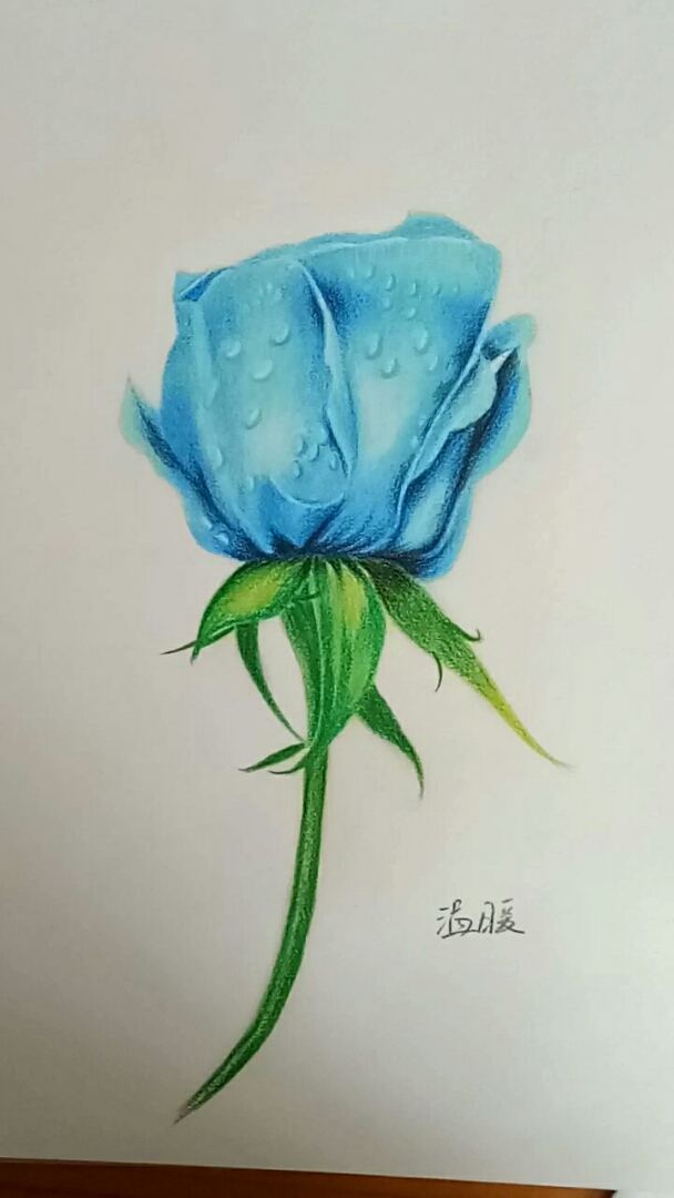 教你画蓝玫瑰