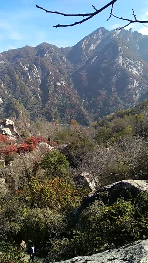 我的私藏景点#翠花山山崩奇观