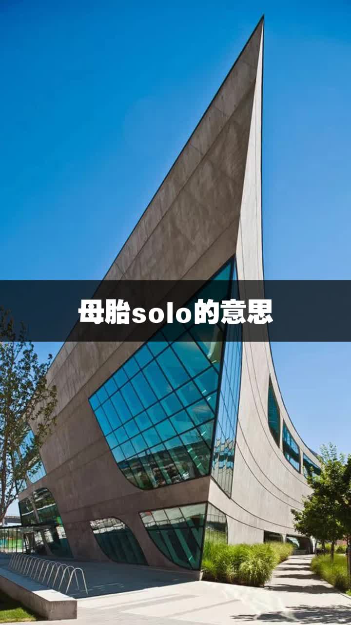 母胎solo的意思