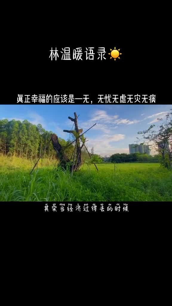 真正幸福的应该是一无,无忧无虑无灾无病