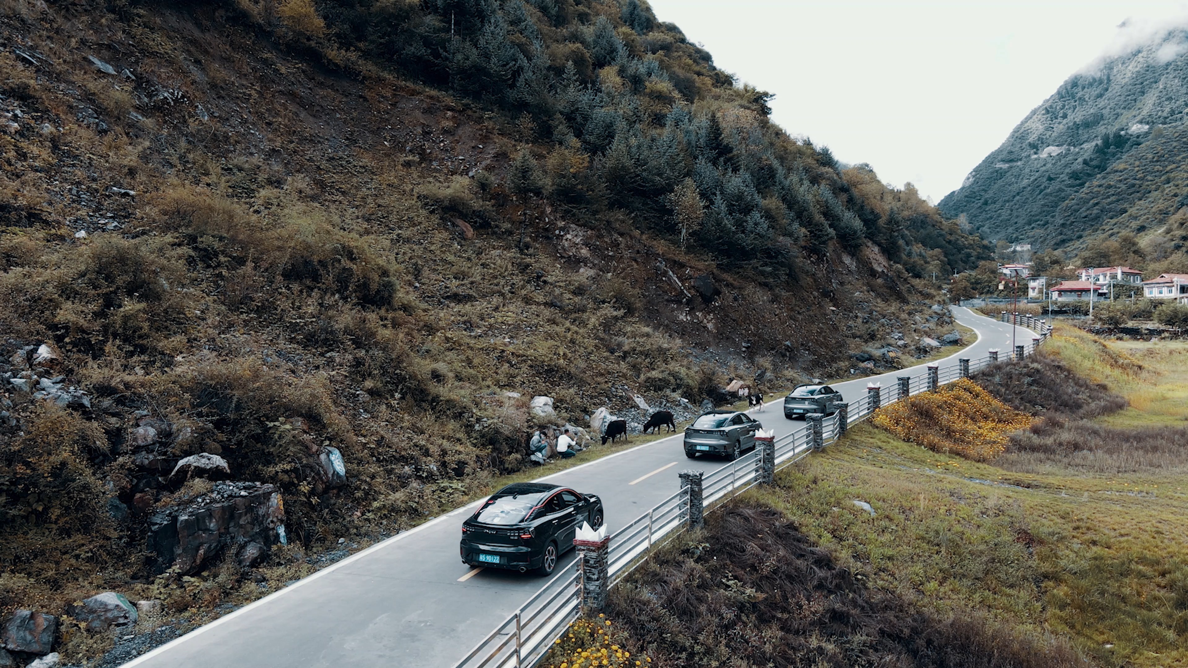 一群朋友一起入藏旅行 途中艰辛 路程遥远 风景丽人 收获满满