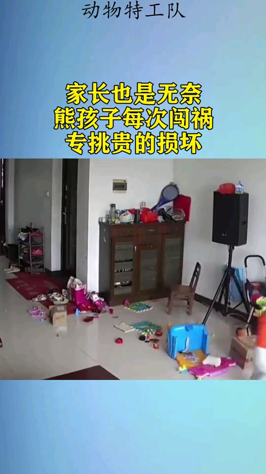 家长也是无奈,熊孩子每次闯祸,专挑贵的损坏!