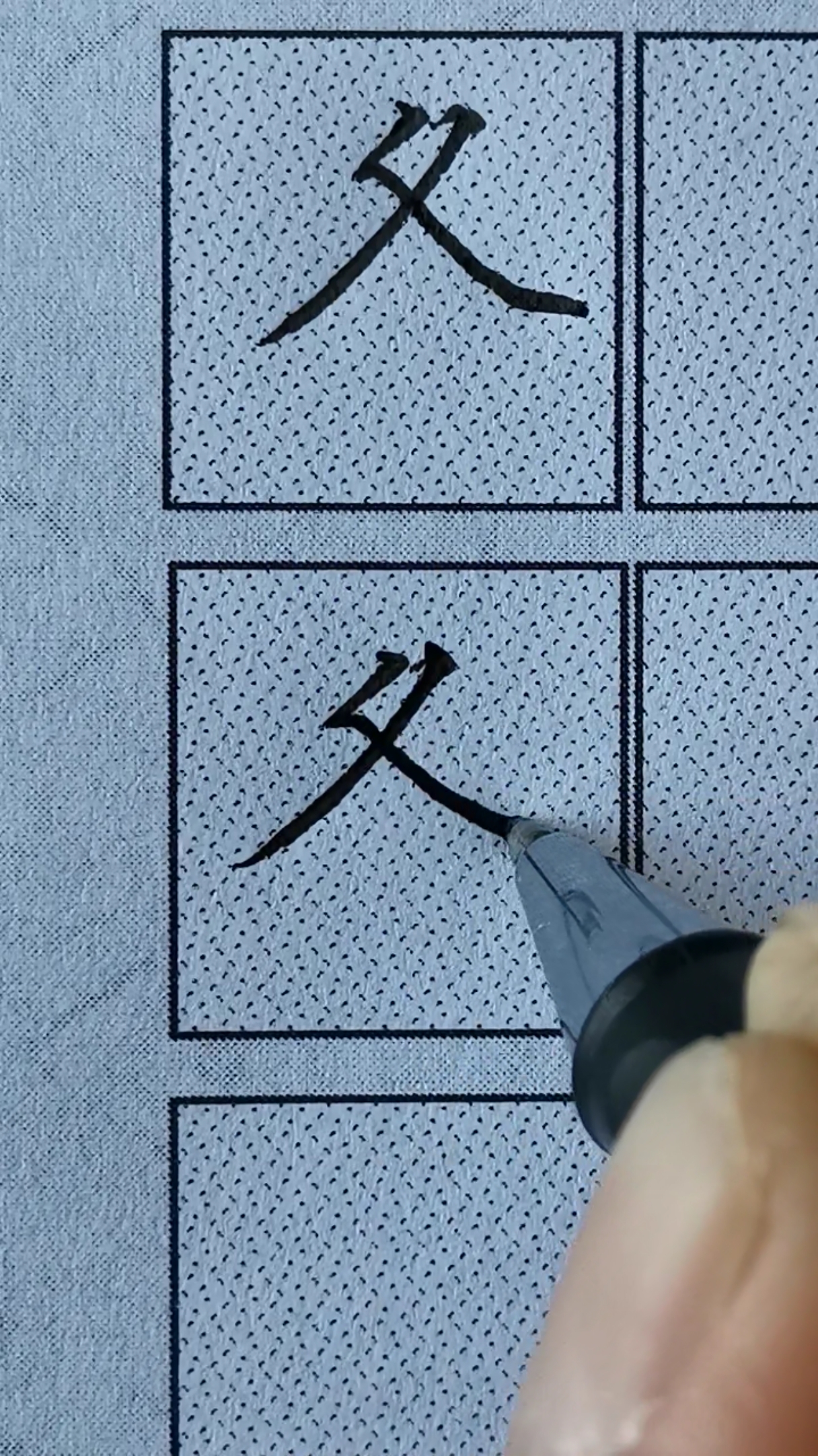 楷书偏旁部首大全#楷书偏旁部首大全"冬字头"