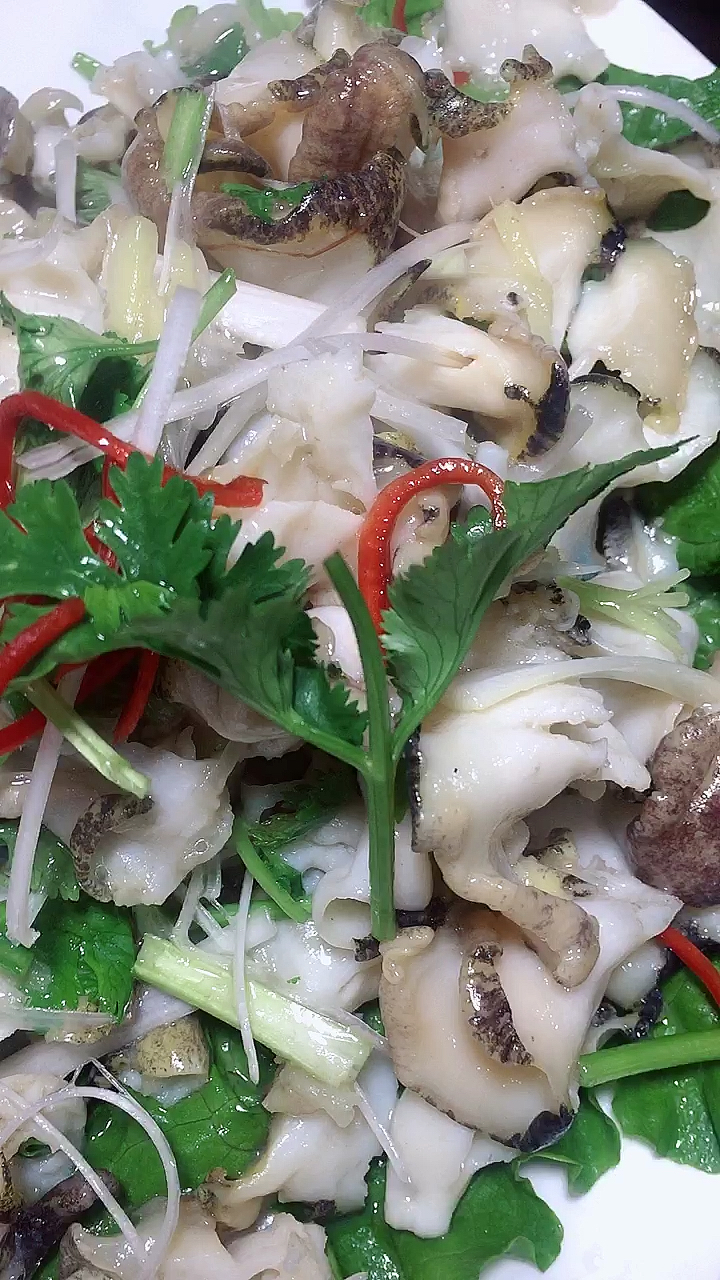 芫爆螺片 清淡爽口小菜 鲜脆可口 美味佳肴