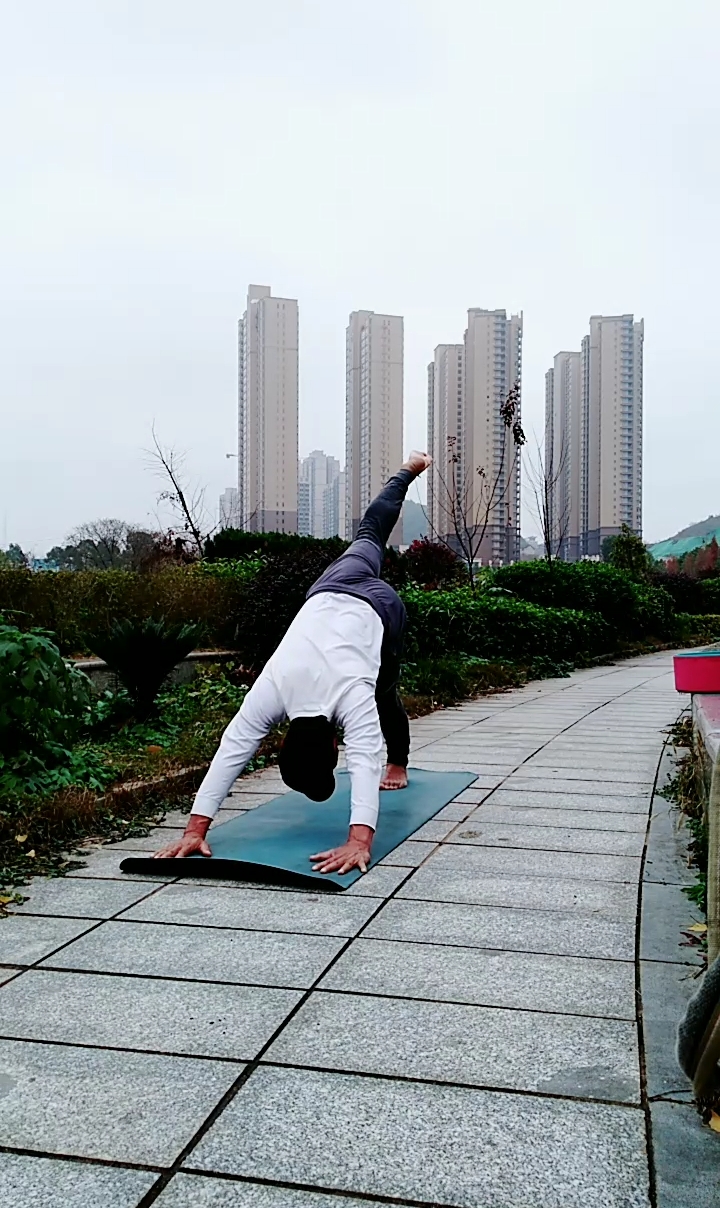 健身宁教练传递健身正能量#单腿下犬式练习