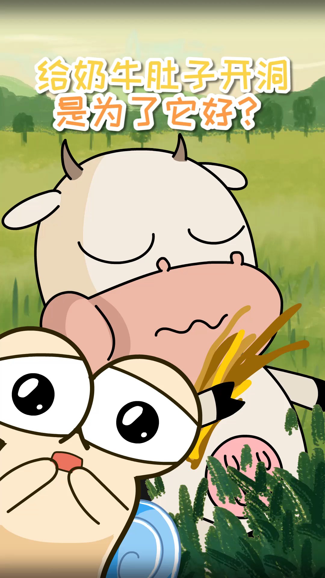 奶牛特工#科普:美国人在奶牛肚子上开洞,对牛是好事还是坏事?